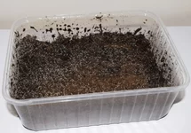 SPRINGSTAARTJES (0.5-1L)