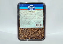 CRIQUETS 1 LITRE