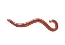 MIXWORMEN/MESTPIERTJES  30/40 STUKS)