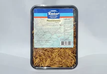 VERS DE FARINE 1 LITRE