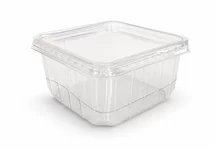 PERFORATED INSECT BOX/LID 50 PCS.
