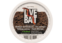 DENDROBAENA VISSERSWORM (15 STUKS)