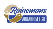 Poissons aquarium