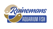 Aquarienfische